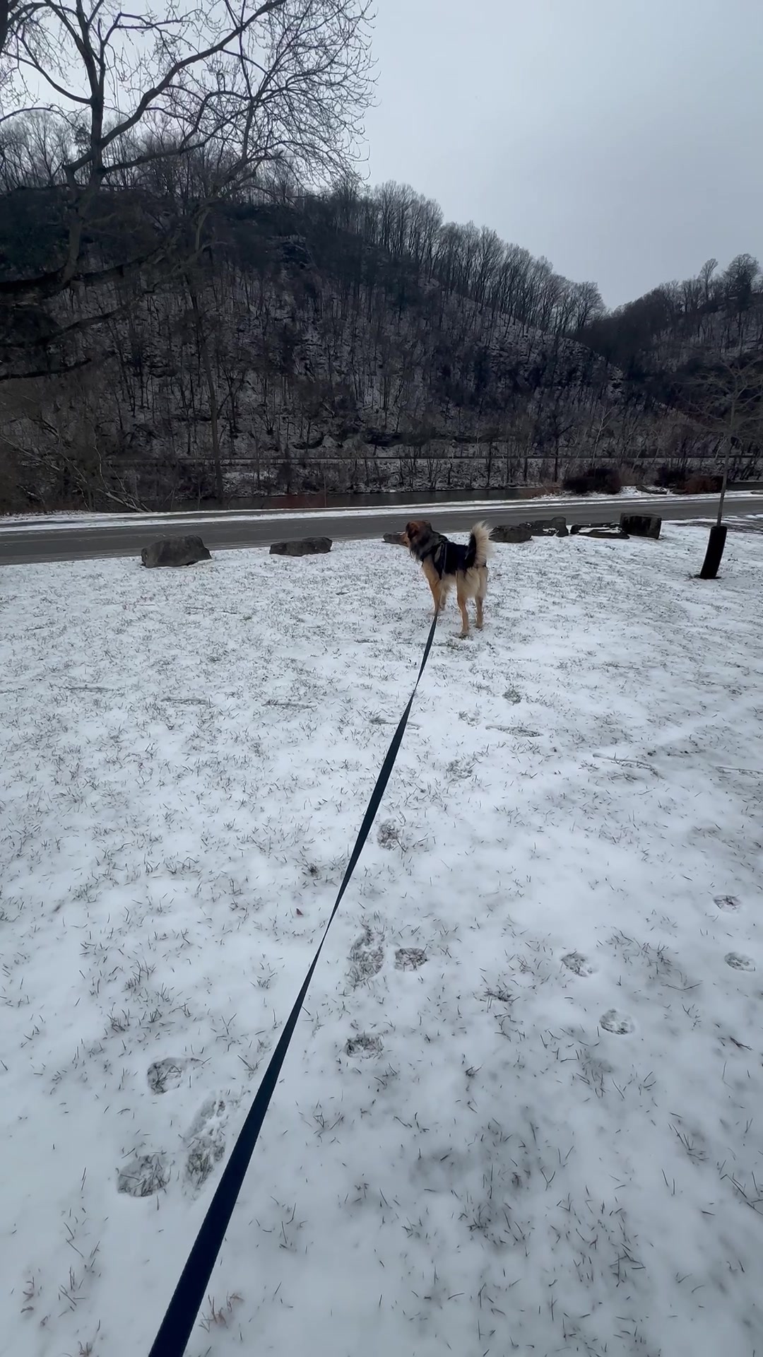 We love the snow